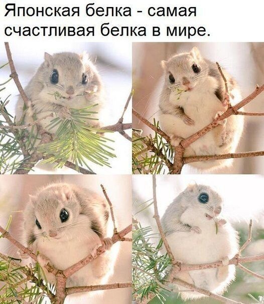 Чуток картинок 01.05.20