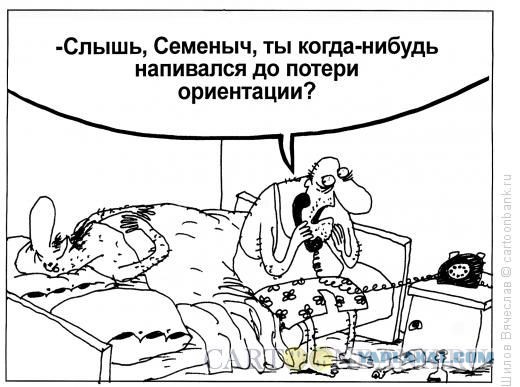 Пьяную веганку друзья накормили курицей, а та не оценила шутку и заявила в полицию