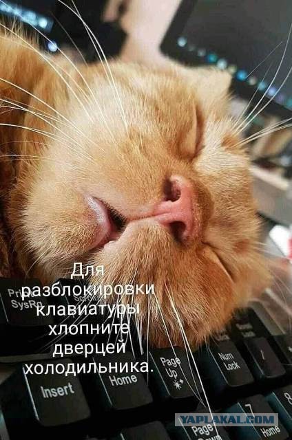 Немного картинок для настроения 12.11.20