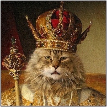 Россия – кошачья сверхдержава