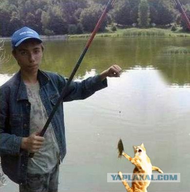 Фотожаба: Рыбак х..