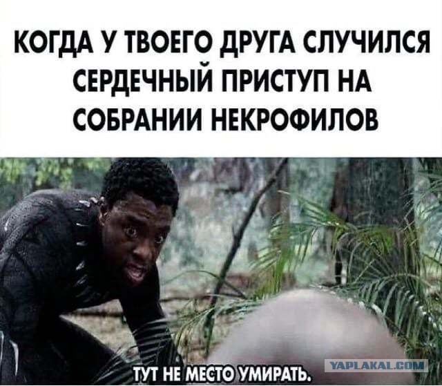 Февральская вечерняя чернь...