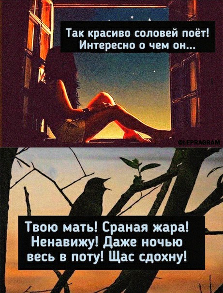 Картинки и мемы для настроения 15.07.2021