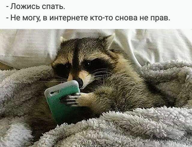 Картинки и мемы для настроения 11.08.2021