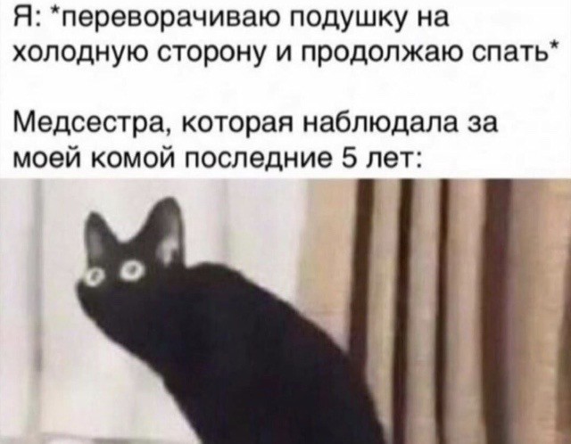 Так себе картинки 20.08.21