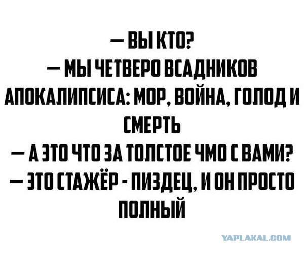 Расскажи свой любимый анекдот!