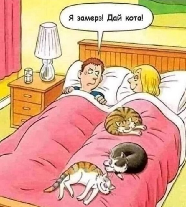 Так себе картинки 28.09.21