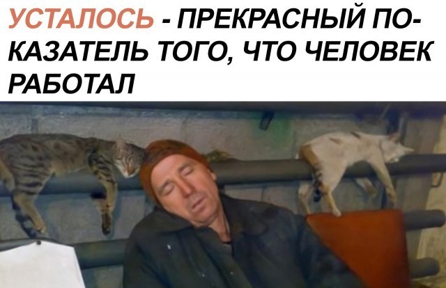 Так себе картинки 04.12.21