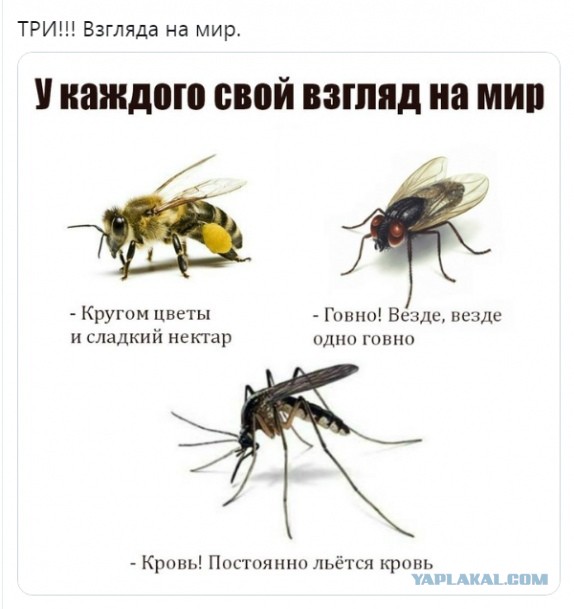 Итальянец переехал в Россию и получил волну хейта*