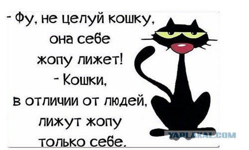 Член ОП Мизулина попросила Генпрокуратуру и Минюст проверить финансирование блогера Дудя