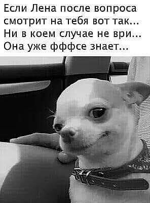 Баянисто-небаянистый юмор 28.03.22