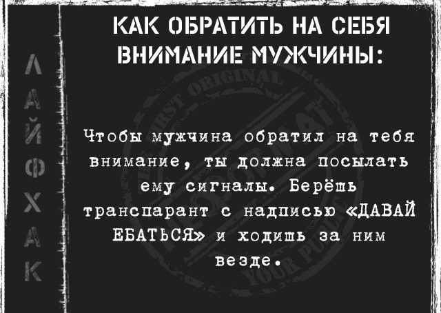 Весёлый полтишок 11.04.22