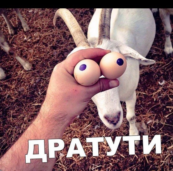Картинки и мемы для настроения - 21