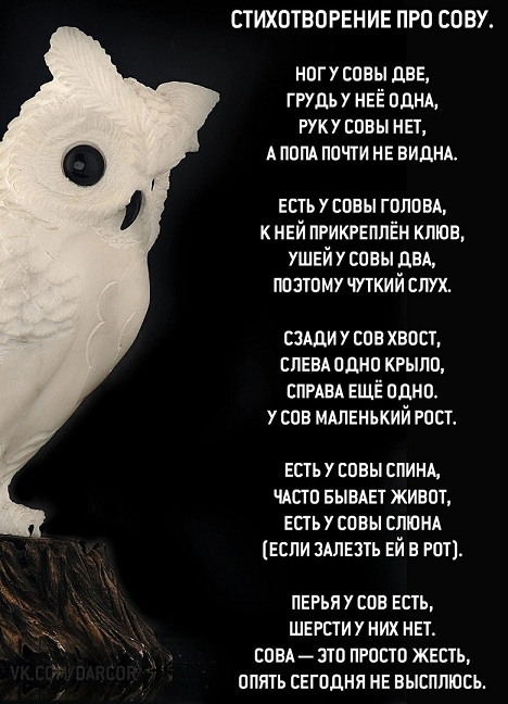 Почему минтай дорогой
