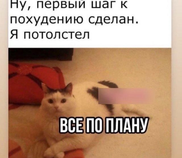 Картинки и мемы, всем хороших выходных
