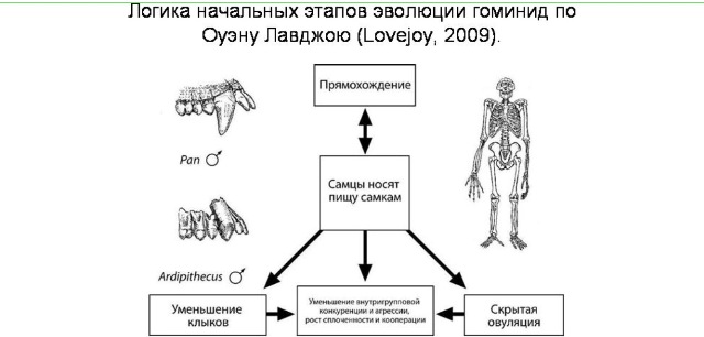 Проститутка под видом Золушки. Изменение вектора моральных ценностей