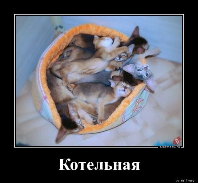 Картинки с надписями 15.04.23