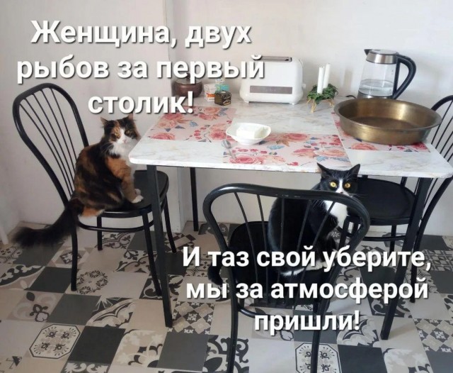 Картинки и мемы, это май-чародей всяко разно - 177