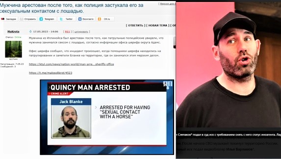Мужчина арестован после того, как полиция застукала его за сексуальным контактом с лошадью