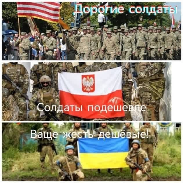 На Украине назвали виновных в провале контрнаступления ВСУ