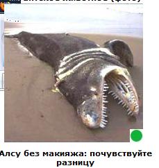Автодемотиватор на ЯПе