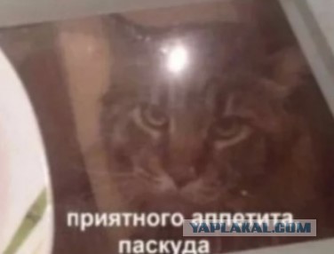 Действительно
