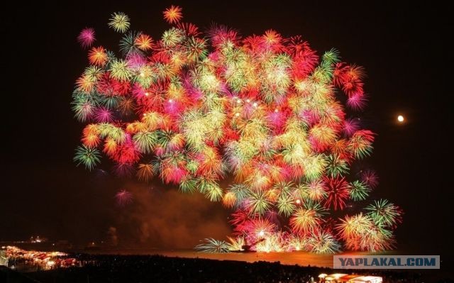 С ДНЕМ РОЖДЕНИЯ, ЯП!