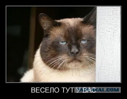 2-й день отпуска в Таиланде..
