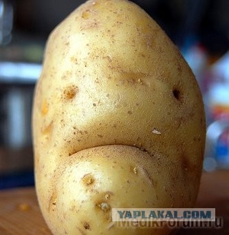 Перестаралась