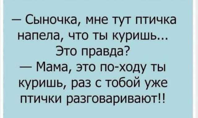 Немного забавных картинок от 18.08.2024