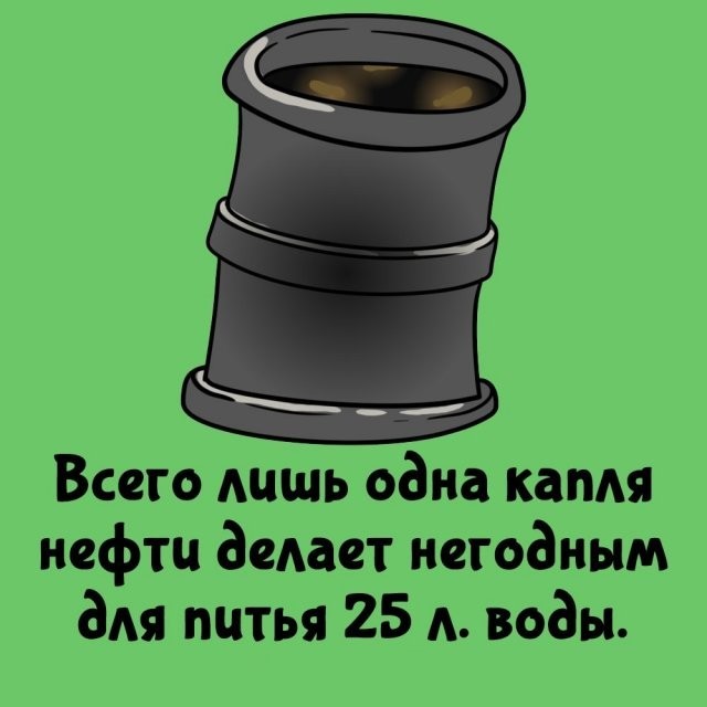 Подборка интересных фактов на все случаи жизни  07.10.24