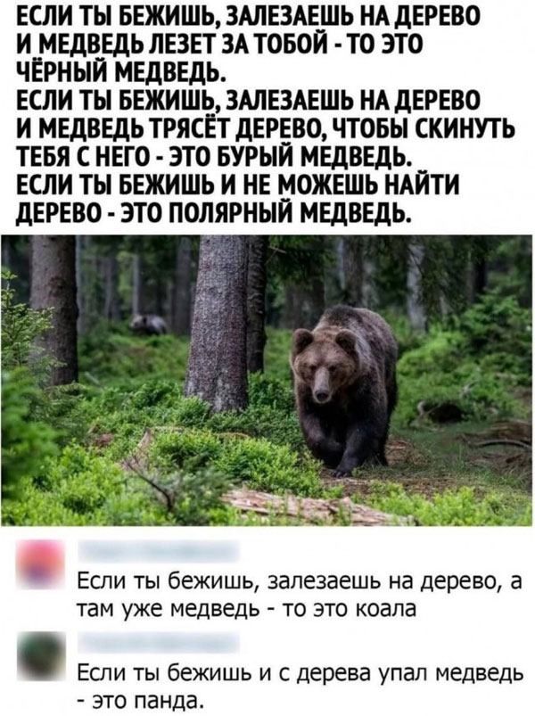 Баяны с распродажи