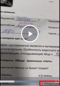 Мужик показал результаты ребенка с олимпиады по окружающему миру. Ответы убили