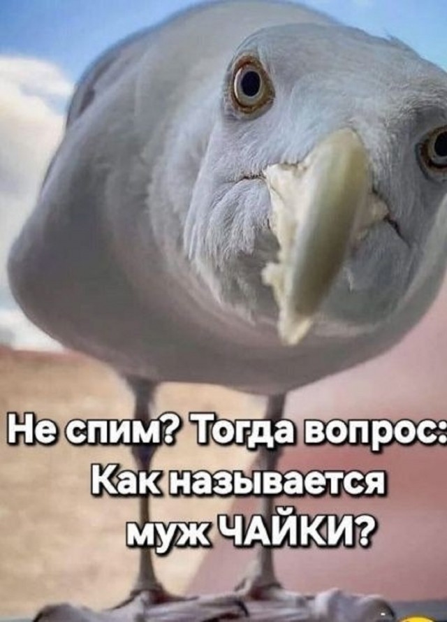 Так себе картинки 23.05.25