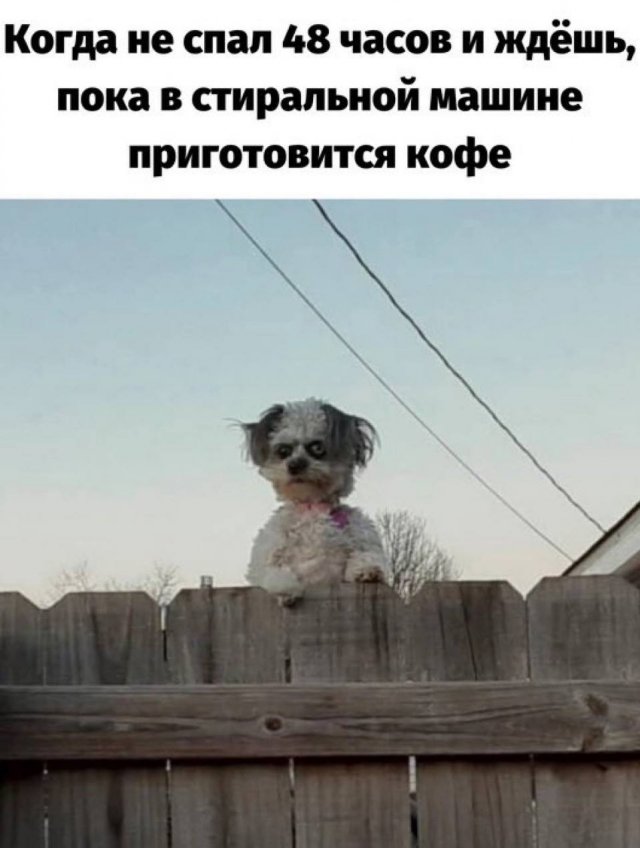 Мне кажется это тянет на отдельную тему