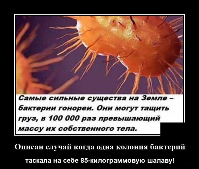 Отборные баяны 10-летней выдержки - ONLY US vol.2