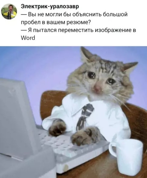 Котямбосы