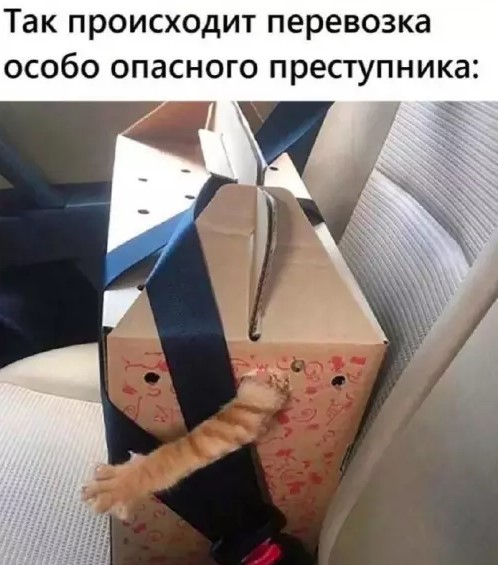 Картиночки, баянчики 29 марта