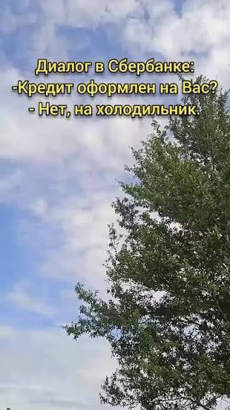 "Все свои деньги я вкладываю в долги» ©