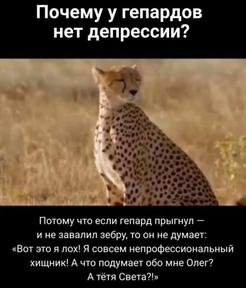 Картинки на среду
