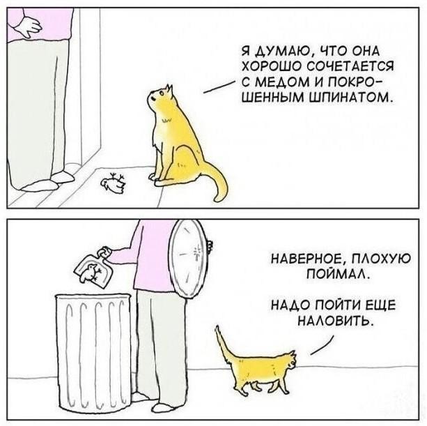 Про мёд