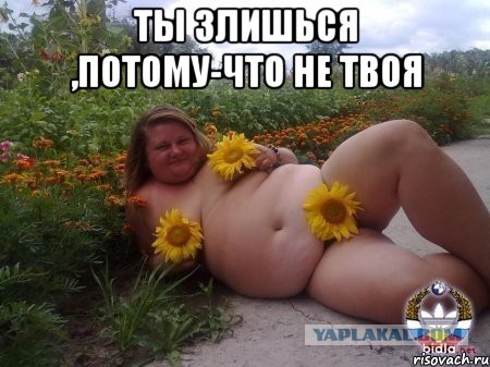 Перлы из сетей