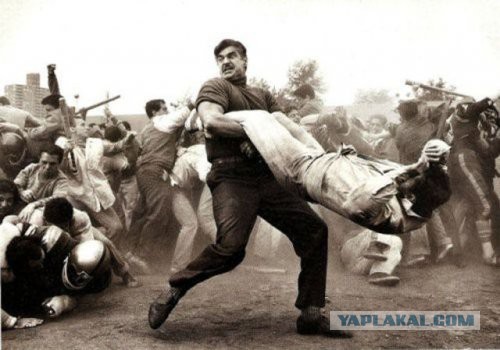 Когда коту делать нечего
