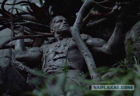 Черный волк