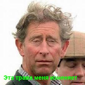 Принц Чарльз извинился