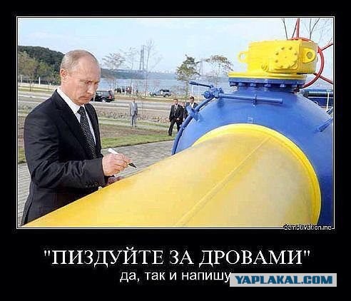 Украина обойдется без российского газа...