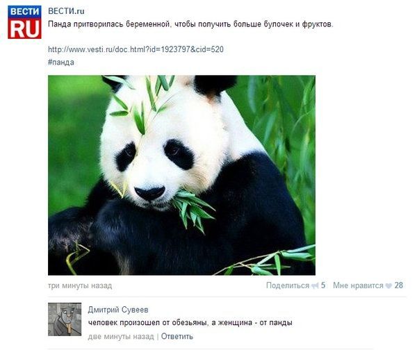 Смешные комментарии из социальных сетей