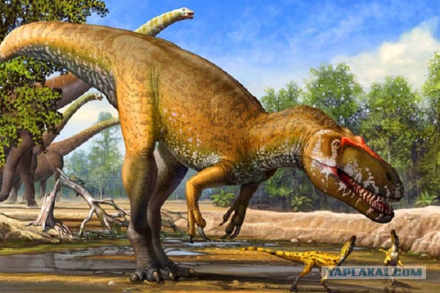 Удивительные открытия в палеонтологии