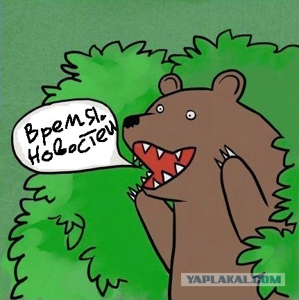ЯП покоряет мир