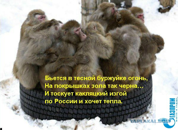 Украина "потребовала от Газпрома" 1 млрд кубометр